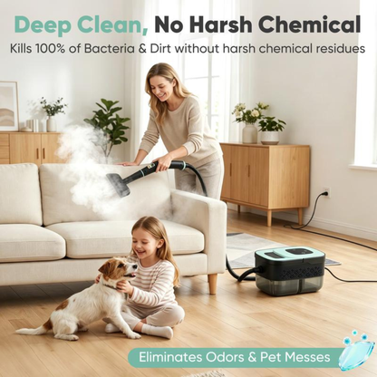 SteamBlast Cleaner